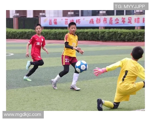 冠军赛特别报道：成都足球队的奋斗经历